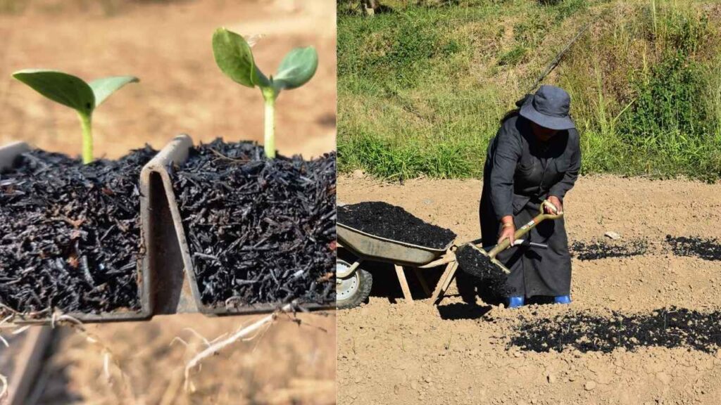 Biochar as mulching component