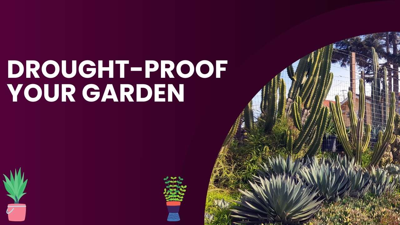 Drought-Proof Your Garden