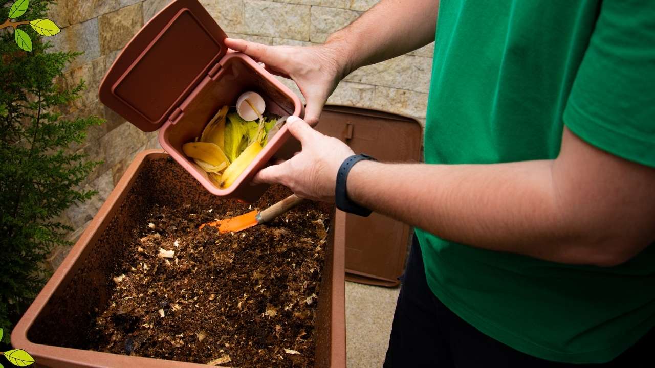 Make Compost at Home