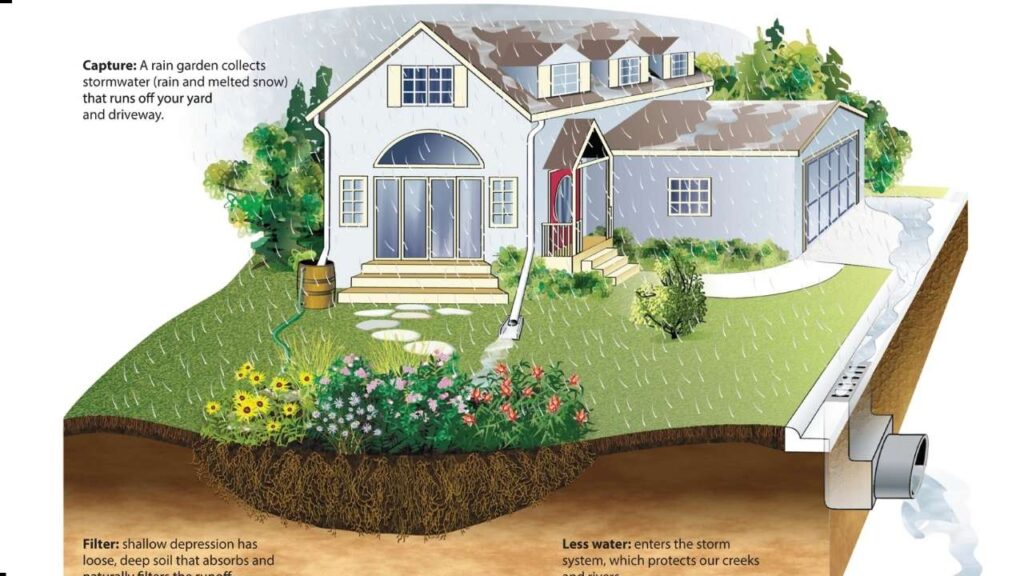 Rain Gardens