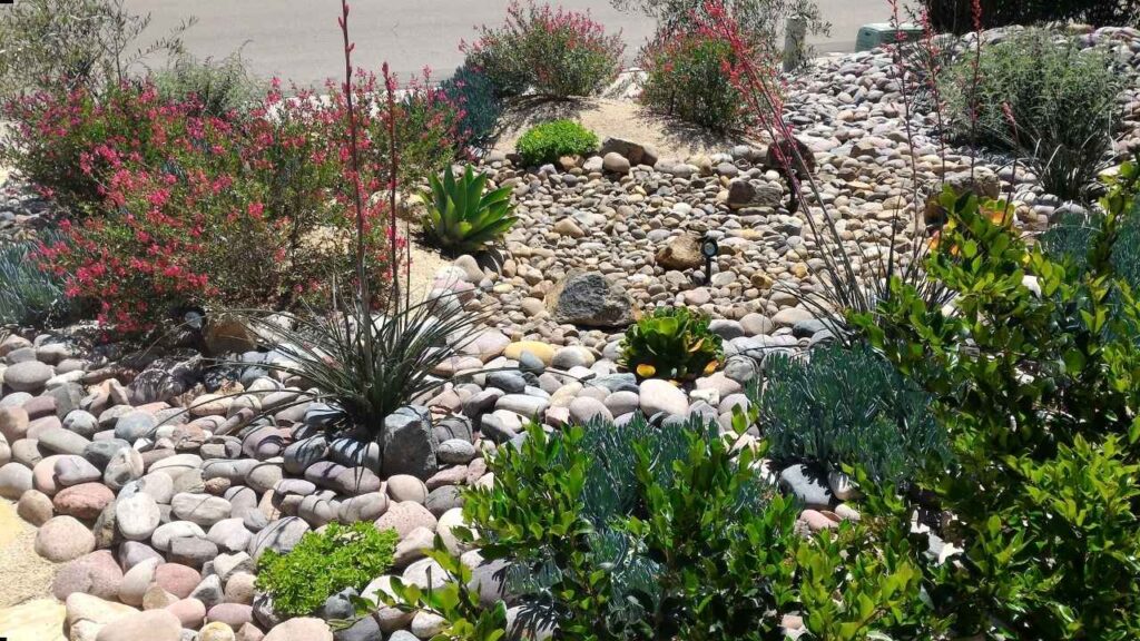 Xeriscaping