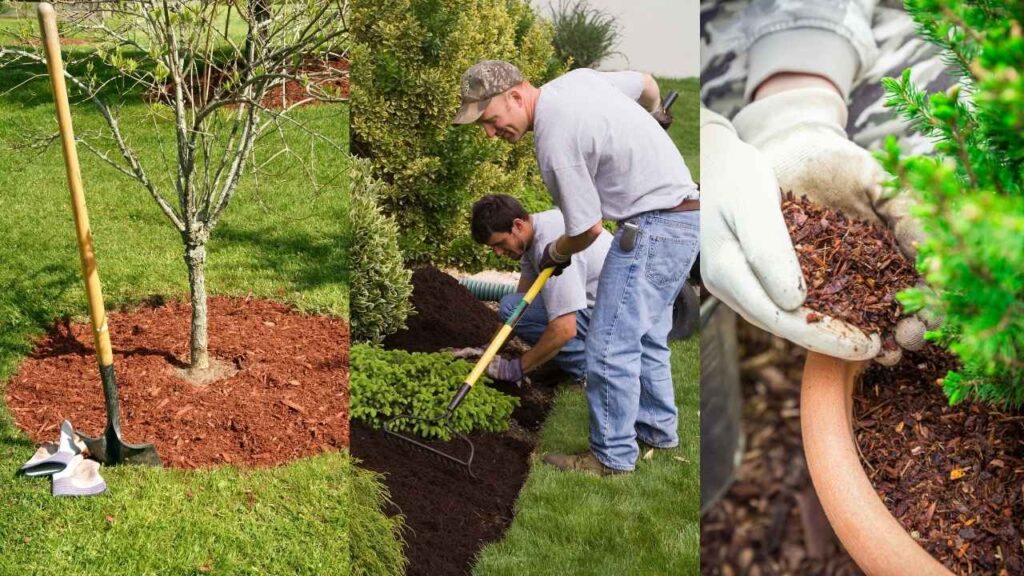 mulching for home garden